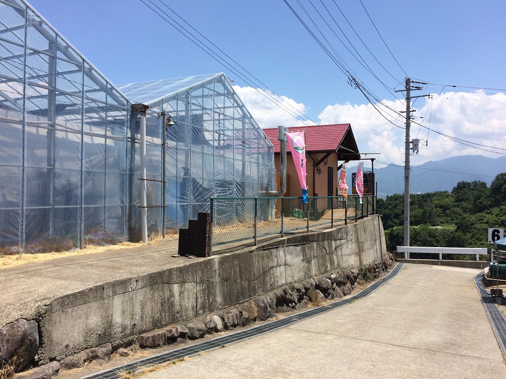 中島農園の受付小屋