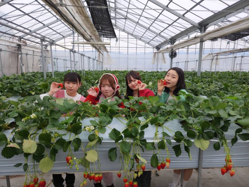 卒業旅行でイチゴ狩り